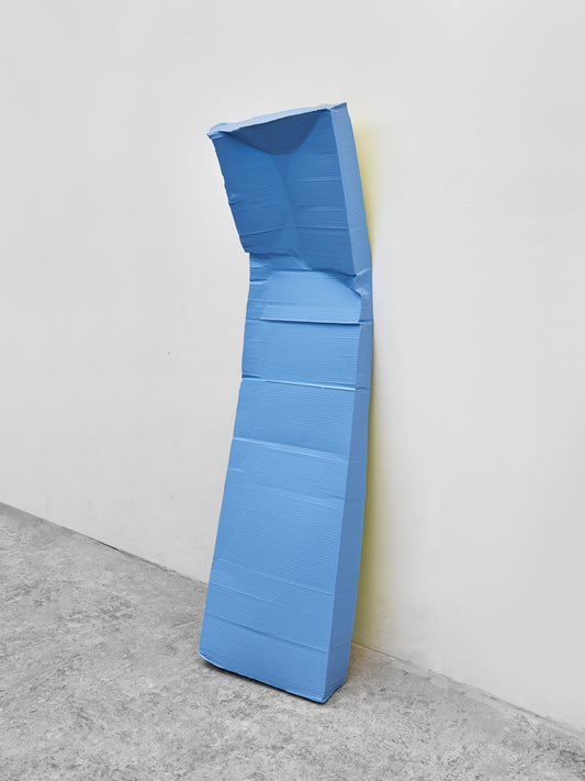 Looking for Fabien Blue