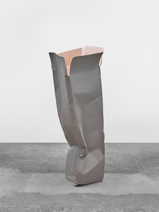 Drummer from Florida (maybe in another life)