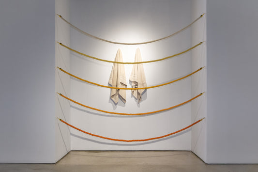 We Collect Ourselves